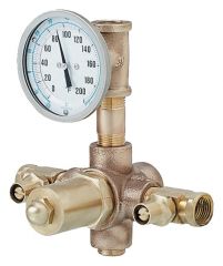  Fisherbrand™ Thermostatic Mixing Valve