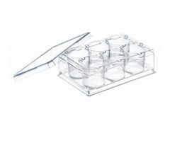Greiner Bio-One ThinCert™ Multiwell Sterile Plates with Lid
