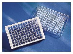 Corning™ 96-Well Clear Flat Bottom Sulfhydryl-BIND™ Microplate