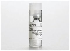 Corning™ Basic Fibroblast Growth Factors (bFGF), Human Recombinant