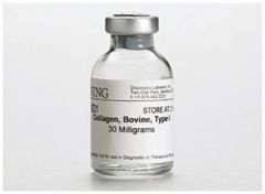 Corning™ Collagen I, Bovine