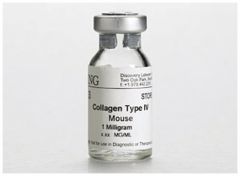 Corning™ Collagen IV, Mouse