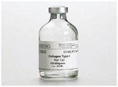 Corning™ Collagen I, Rat