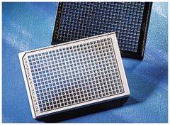Corning™ 384-Well Clear Polystyrene Microplates