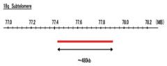 Abnova™ 18q Subtelomere (DEAC) FISH Probe