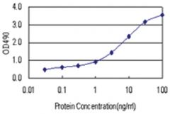  anti-DYDC2 Matched Antibody Pair, Abnova™