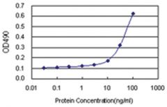  anti-FGD3 Ab-1 Matched Antibody Pair, Abnova™