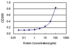  anti-FGD3 Ab-2 Matched Antibody Pair, Abnova™