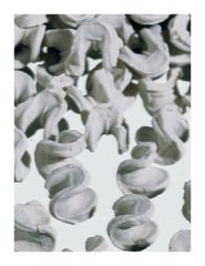 Walter Stern Porcelain 6mm Berl Saddles for Distillation Columns