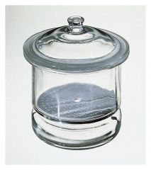 Fisherbrand™ Desiccator with Porcelain Plate