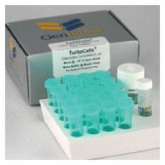 Genlantis™ TurboCells™ BL21Competent Cells