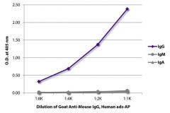  IgG Goat anti-Mouse, Human ads, AP, Polyclonal, Southern Biotech™