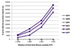  Lambda Goat anti-Mouse, FITC, Polyclonal, Southern Biotech™