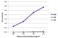 IgM Rat anti-Mouse, AP, Clone: SB73a, Southern Biotech™