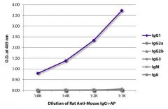  IgG1 Rat anti-Mouse, AP, Clone: SB77e, Southern Biotech™