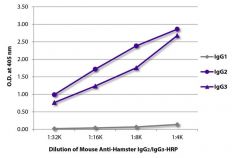  IgG2/IgG3 Mouse anti-Hamster, HRP, Clone: SB139e, Southern Biotech™