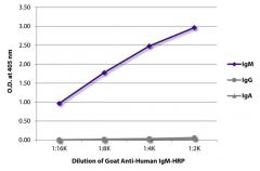  IgM Goat anti-Human, HRP, Polyclonal, Southern Biotech™