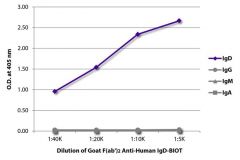  IgD Goat F(ab′)2 anti-Human, Biotin, Polyclonal, Southern Biotech™