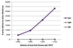  IgG Goat anti-Human, TRITC (Rhodamine), Polyclonal, Southern Biotech™