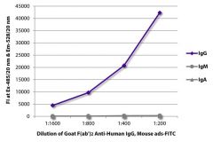  IgG Goat F(ab′)2 anti-Human, Mouse ads, FITC, Polyclonal, Southern Biotech™