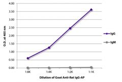  IgG Goat anti-Rat, AP, Polyclonal, Southern Biotech™