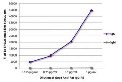  IgG Goat anti-Rat, R-PE, Polyclonal, Southern Biotech™