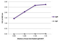  IgM Goat anti-Rabbit, Biotin, Polyclonal, Southern Biotech™