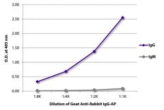  IgG Goat anti-Rabbit, AP, Polyclonal, Southern Biotech™