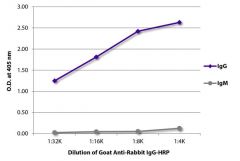  IgG Goat anti-Rabbit, HRP, Polyclonal, Southern Biotech™