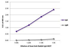  IgG Goat anti-Rabbit, Biotin, Polyclonal, Southern Biotech™