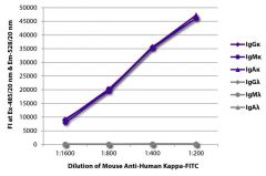  Kappa Mouse anti-Human, FITC, Clone: SB81a, Southern Biotech™