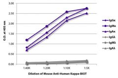  Kappa Mouse anti-Human, Biotin, Clone: SB81a, Southern Biotech™