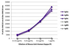  Kappa Mouse anti-Human, R-PE, Clone: SB81a, Southern Biotech™