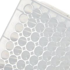 96WELL PP MICROPLATES STERILE 2ML 60/CS