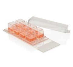 Thermo Scientific™ Nunc™ Lab-Tek™ Chamber Slide System, glass, 2 well