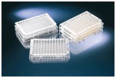 Thermo Scientific™ Nunc™ 96-Well Polystyrene Round Bottom Microwell Plates, sterile  