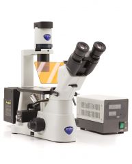 Inverted HBO fluorescence microscope, IOS, multi-plug/UK