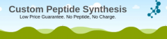 Custom Peptide Synthesis Service