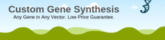 Custom Gene Synthesis Service