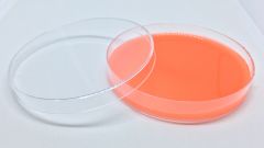 90mm Petri Dish Gamma Irradiation with Certificate, 500/Bx
