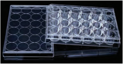 LabServ 24-well Tissue Culture Plate, Flat bottom, Surface Treated