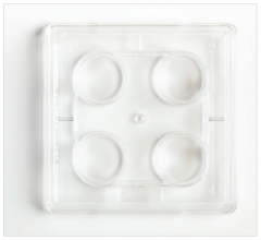 Fisherbrand™ Surface Treated 4-Well Tissue Culture Plates, Flat bottom