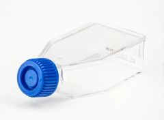 Fisherbrand™ Surface Treated Sterile Tissue Culture Flasks, Plug Seal Cap, 50mL