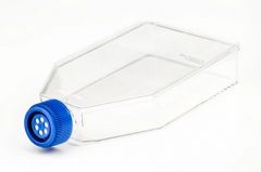 Fisherbrand™ Surface Treated Sterile Tissue Culture Flasks, Vented Cap, 182 cm2, 40/CS