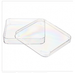 Nunc™ Lab-Tek™ Petri Dishes, Sterile Square Vented, 500/Case